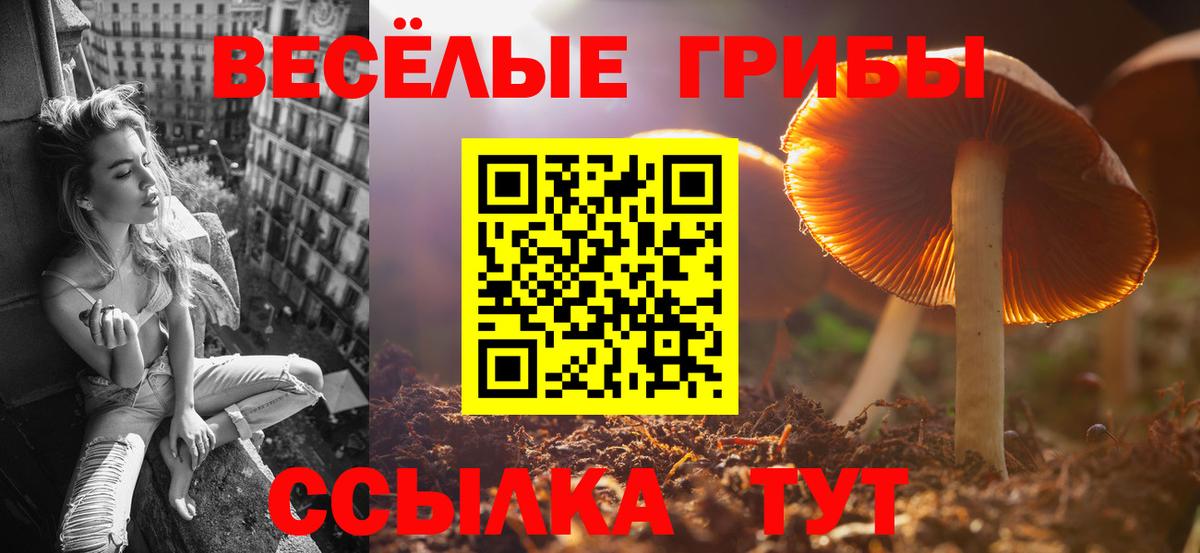 Галлюциногенные грибы GOLDEN TEACHER  где купить наркотик  Бугуруслан  Вход с VPN 