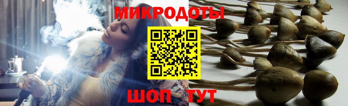 Галлюциногенные грибы Magic Shrooms Бугуруслан